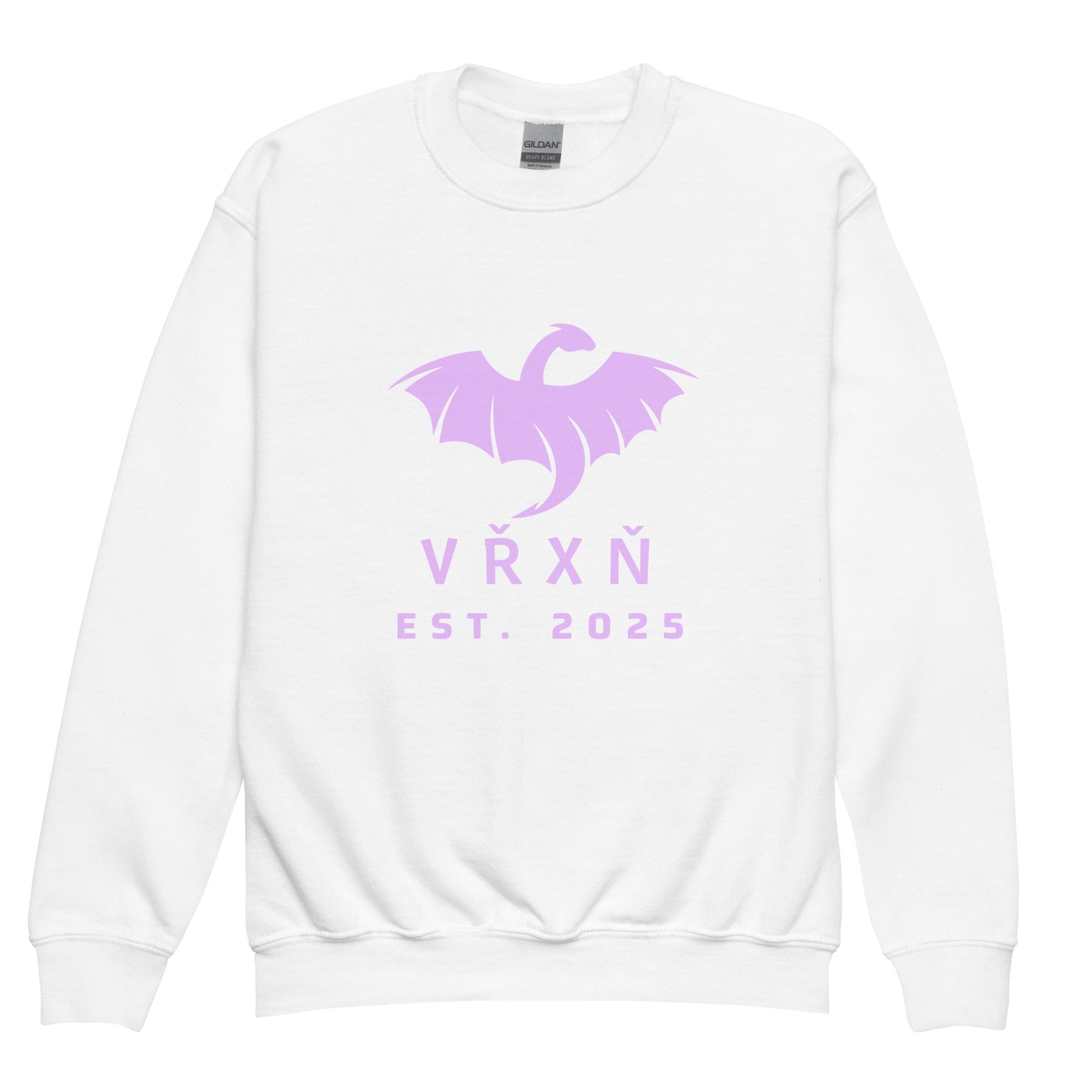 Classic | Youth Sweatshirt | VŘXŇ | Ancient Modern Logo