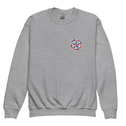 Classic | Youth Sweatshirt | West Mound Stars | Apex Logo