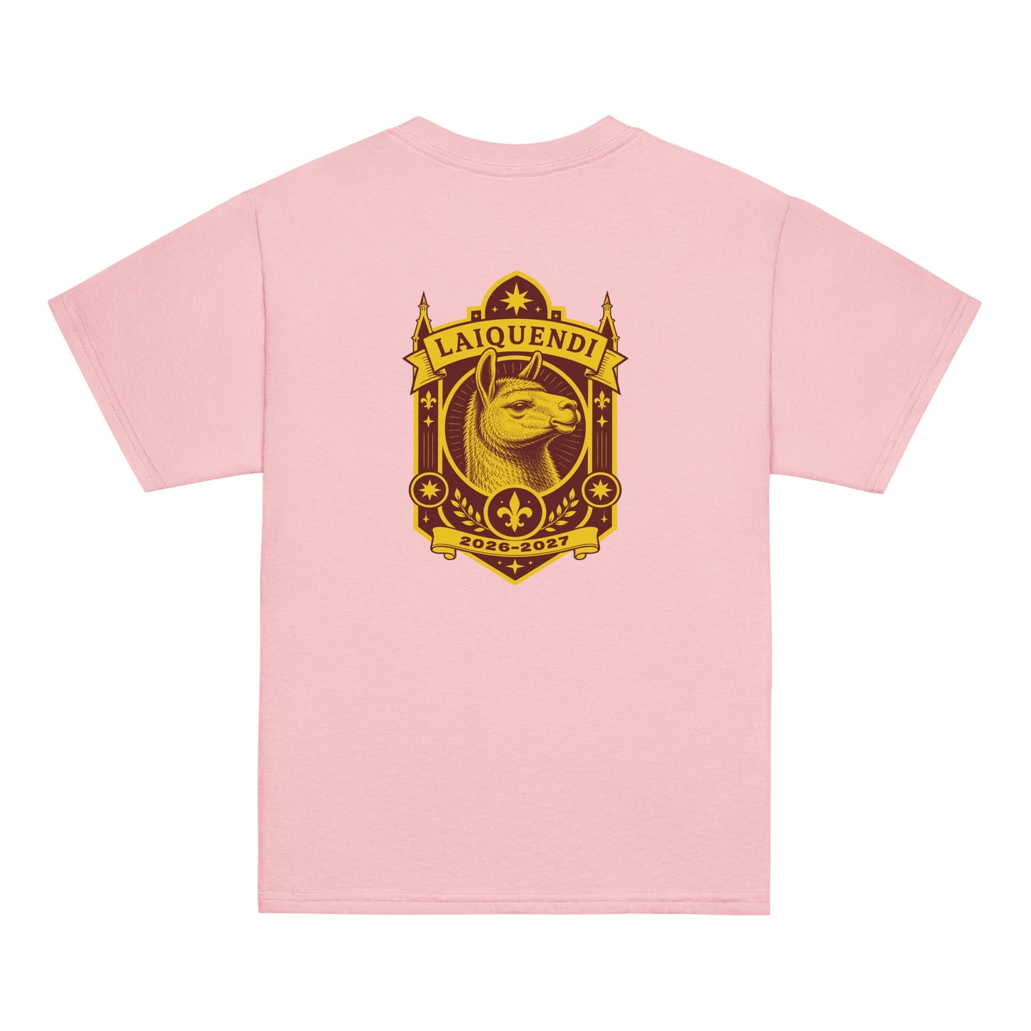 Classic | Youth T Shirt | Arma Dei Academy Logic Houses | Laiquendi Logo