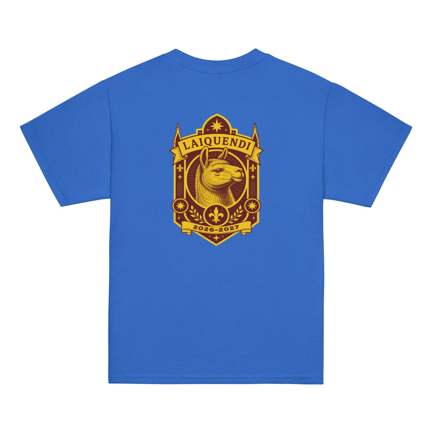 Classic | Youth T Shirt | Arma Dei Academy Logic Houses | Laiquendi Logo