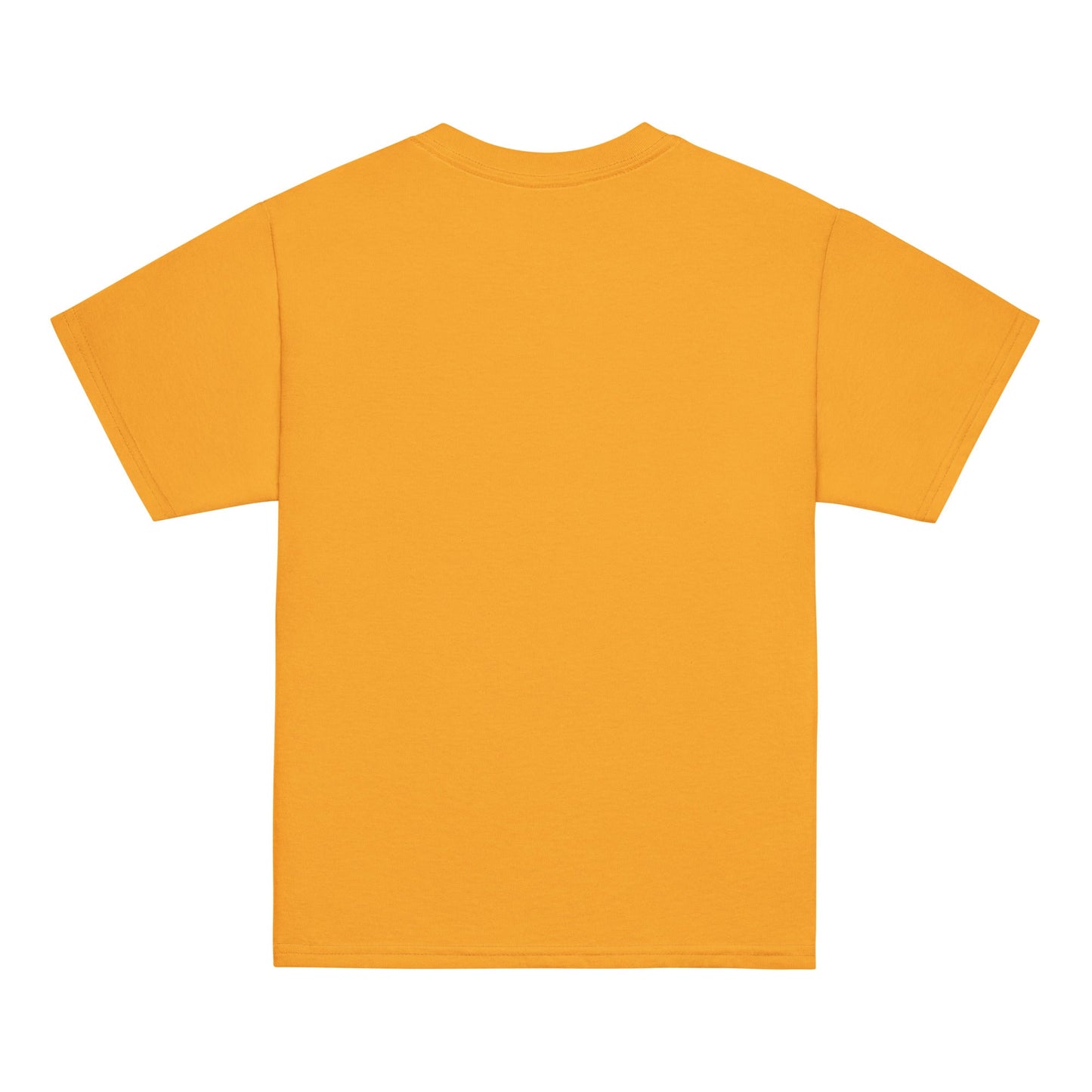 Classic | Youth T Shirt | Joanna Hornets | Hornet Logo