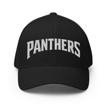 Signature | Flexfit Baseball Cap | Central Falls Panthers | Script Logo