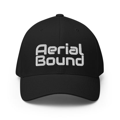 Signature | Flexfit Baseball Cap | Aerial Bound Athletics | Script Logo