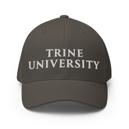 Signature | Flexfit Baseball Cap | Trine PA program | Modern Script Logo
