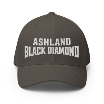 Signature | Flexfit Baseball Cap | Ashland Black Diamonds | Vanguard Logo