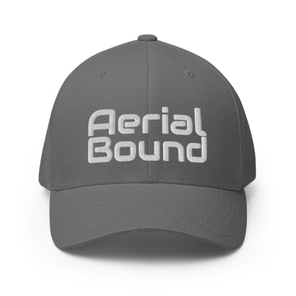 Signature | Flexfit Baseball Cap | Aerial Bound Athletics | Script Logo