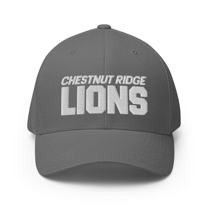 Signature | Flexfit Baseball Cap | Chestnut Ridge Lions Football | Script Logo