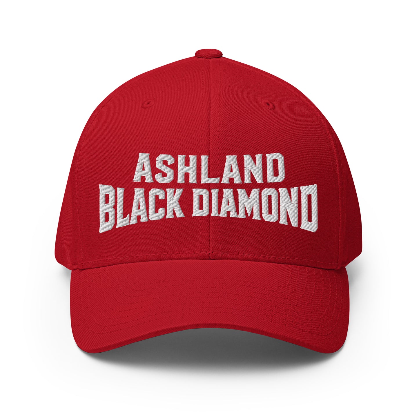 Signature | Flexfit Baseball Cap | Ashland Black Diamonds | Vanguard Logo