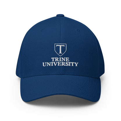Signature | Flexfit Baseball Cap | Trine PA program | Emblem Logo