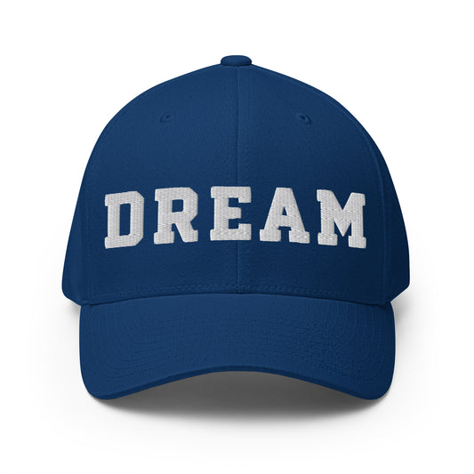 Signature | Flexfit Baseball Cap | Dream Developmental Program | Badge Logo