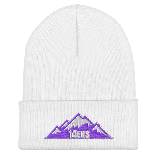 Cuffed Beanie | 14ers Baseball | Grey Logo