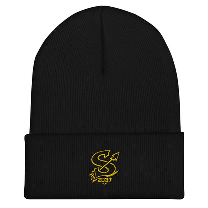 Cuffed Beanie | 2037 Sachem Arrows | Emblem Logo