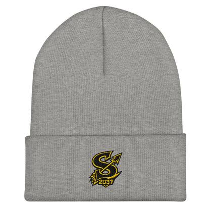 Cuffed Beanie | 2037 Sachem Arrows | Emblem Logo