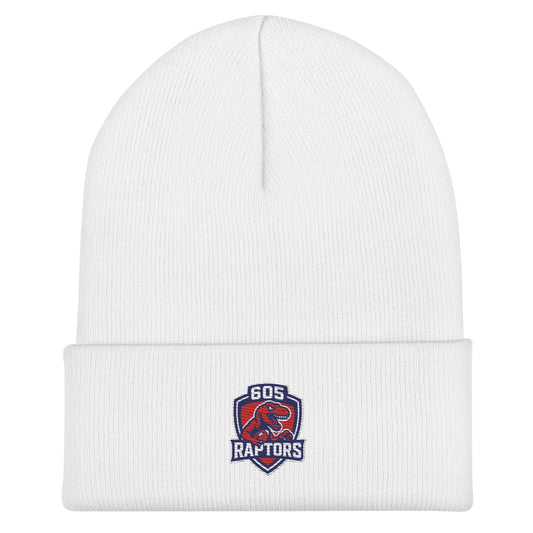 Cuffed Beanie | 605 Raptors