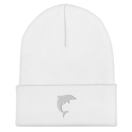 Cuffed Beanie | Arizona Dolphins Swim Team | Vanguard Logo