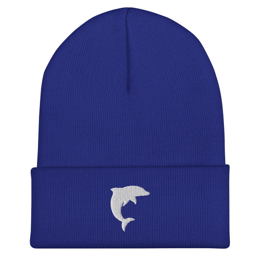 Cuffed Beanie | Arizona Dolphins Swim Team | Vanguard Logo
