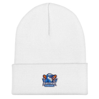 Cuffed Beanie | Blue Streak Lightning | Mascot Logo