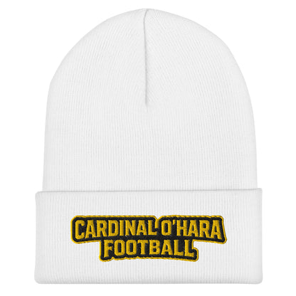 Cuffed Beanie | Cardinal Ohara Hawks | Shield Logo
