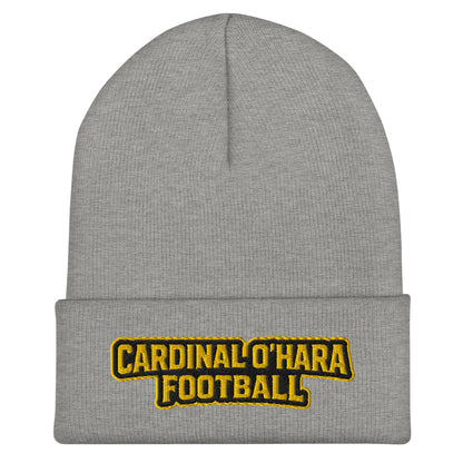 Cuffed Beanie | Cardinal Ohara Hawks | Shield Logo