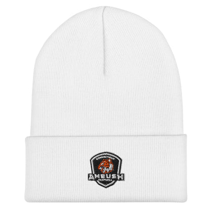 Cuffed Beanie | Connecticut Ambush