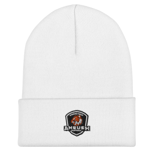 Cuffed Beanie | Connecticut Ambush