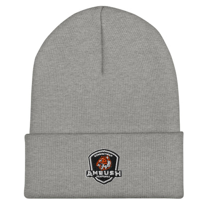Cuffed Beanie | Connecticut Ambush