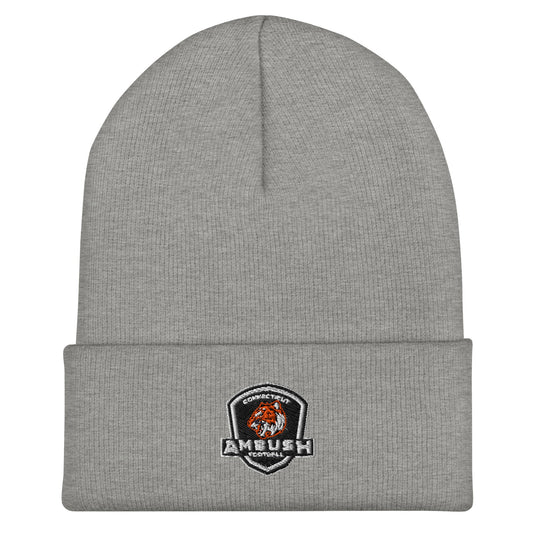 Cuffed Beanie | Connecticut Ambush