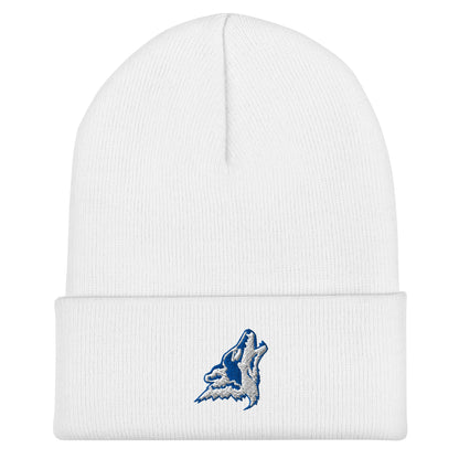 Cuffed Beanie | CSN Volleyball | Mascot Logo