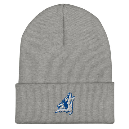 Cuffed Beanie | CSN Volleyball | Mascot Logo
