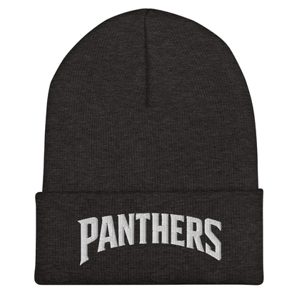 Cuffed Beanie | Central Falls Panthers | Script Logo