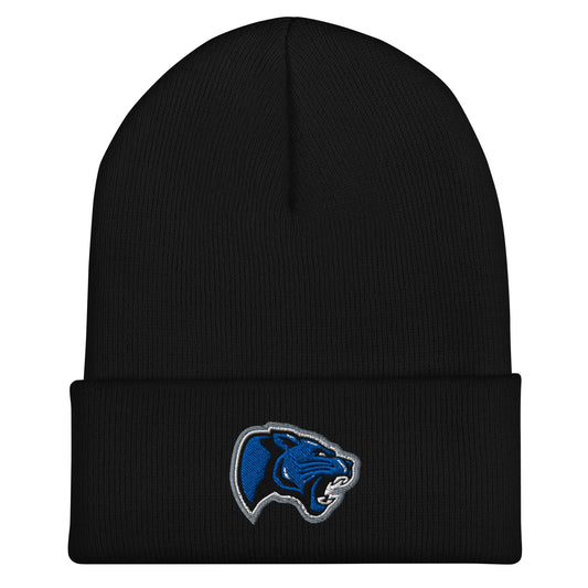 Cuffed Beanie | Denmark Technical College