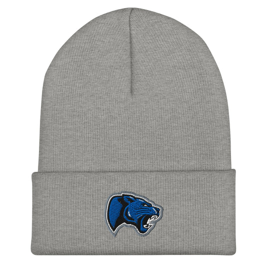 Cuffed Beanie | Denmark Technical College