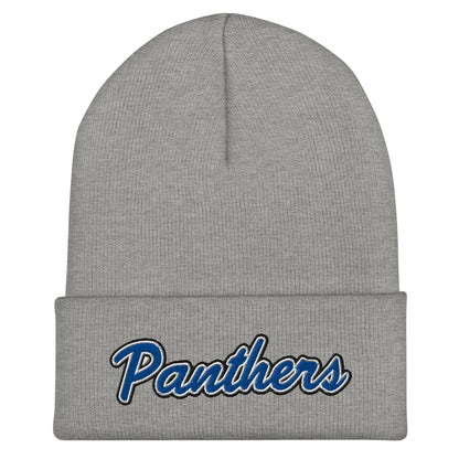 Cuffed Beanie | Denmark Technical College | Script Logo
