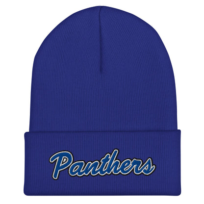 Cuffed Beanie | Denmark Technical College | Script Logo