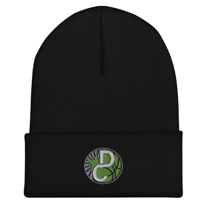 Cuffed Beanie | Dream Chasers | DC Logo
