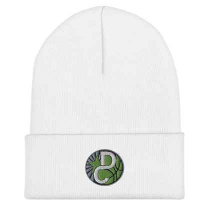 Cuffed Beanie | Dream Chasers | DC Logo
