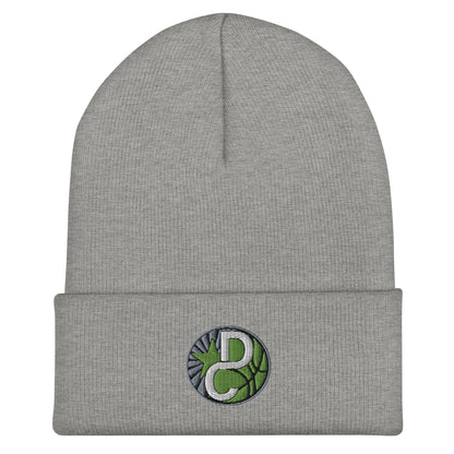 Cuffed Beanie | Dream Chasers | DC Logo