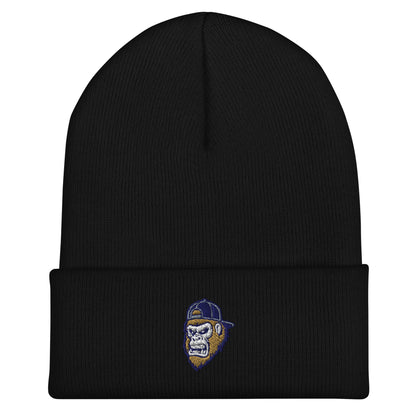 Cuffed Beanie | Filthy Baseball Northwest