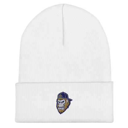 Cuffed Beanie | Filthy Baseball Northwest