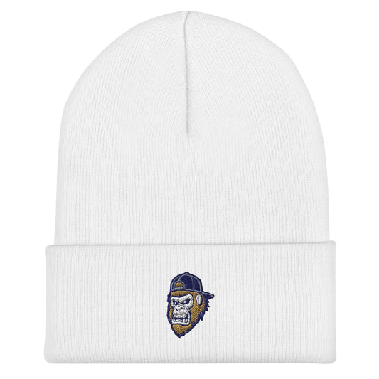 Cuffed Beanie | Filthy Baseball Northwest