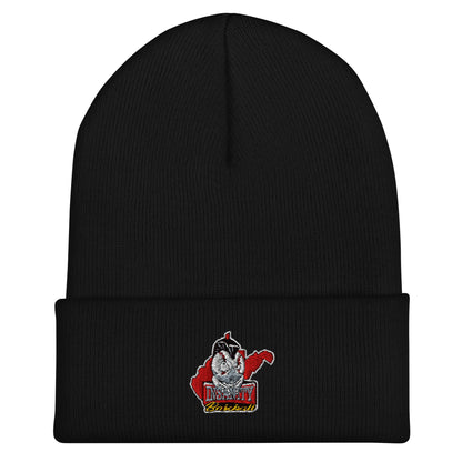 Cuffed Beanie | Insanity Baseball