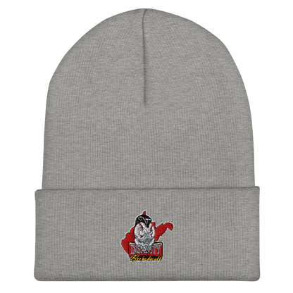 Cuffed Beanie | Insanity Baseball