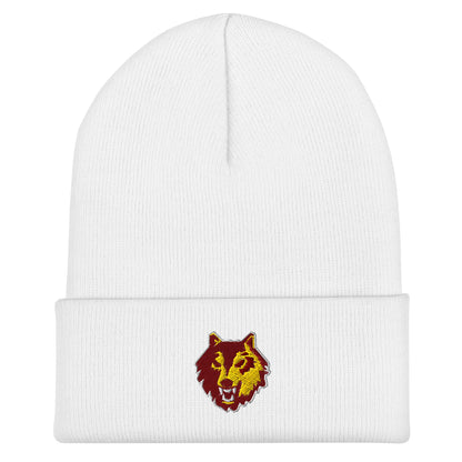 Cuffed Beanie | Loyola University Chicago Club Waterpolo