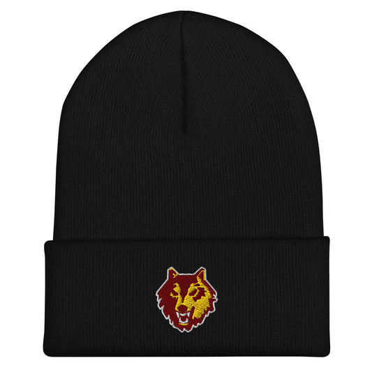 Cuffed Beanie | Loyola University Chicago Club Waterpolo