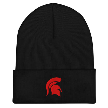 Cuffed Beanie | ORDER AND COLOR TEST