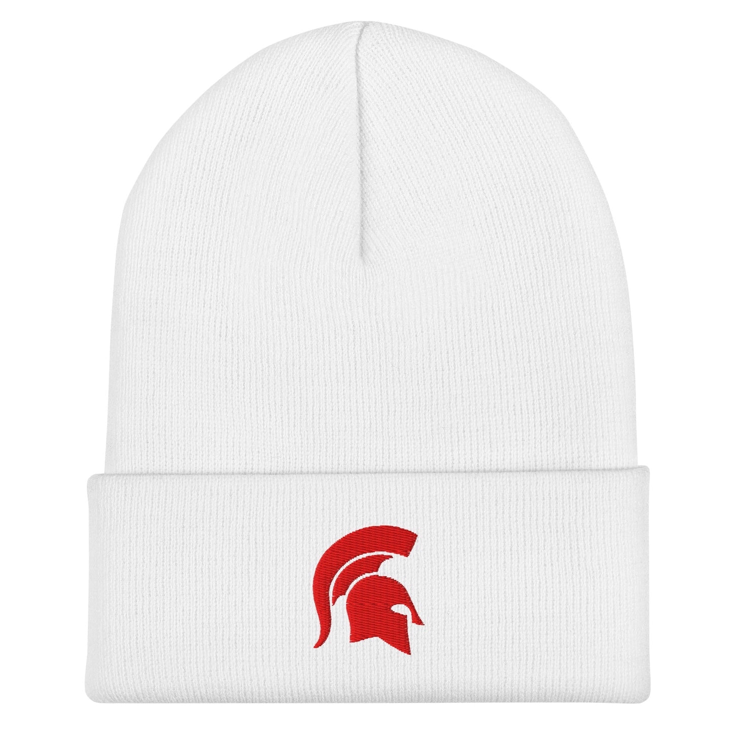 Cuffed Beanie | ORDER AND COLOR TEST