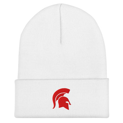 Cuffed Beanie | ORDER AND COLOR TEST