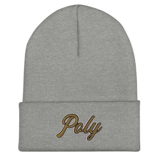 Cuffed Beanie | Purdue Polytechnic High School
