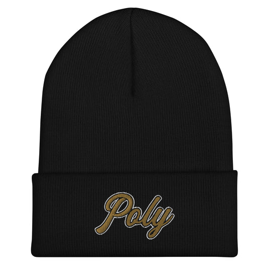 Cuffed Beanie | Purdue Polytechnic High School