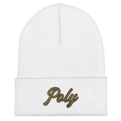 Cuffed Beanie | Purdue Polytechnic High School